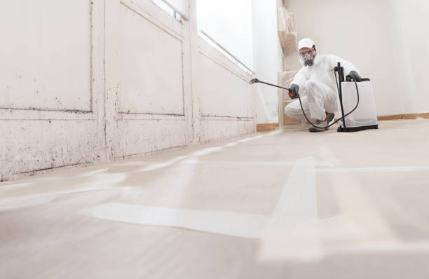 24/7 Emergency Basement Mold Remediation experts in Thomasville, GA