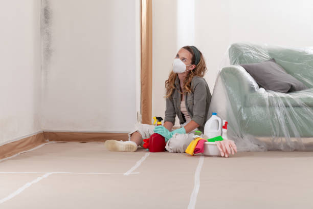 Reliable Basement Mold Remediation contractor in Thomasville, GA by Mold Remediation HQ